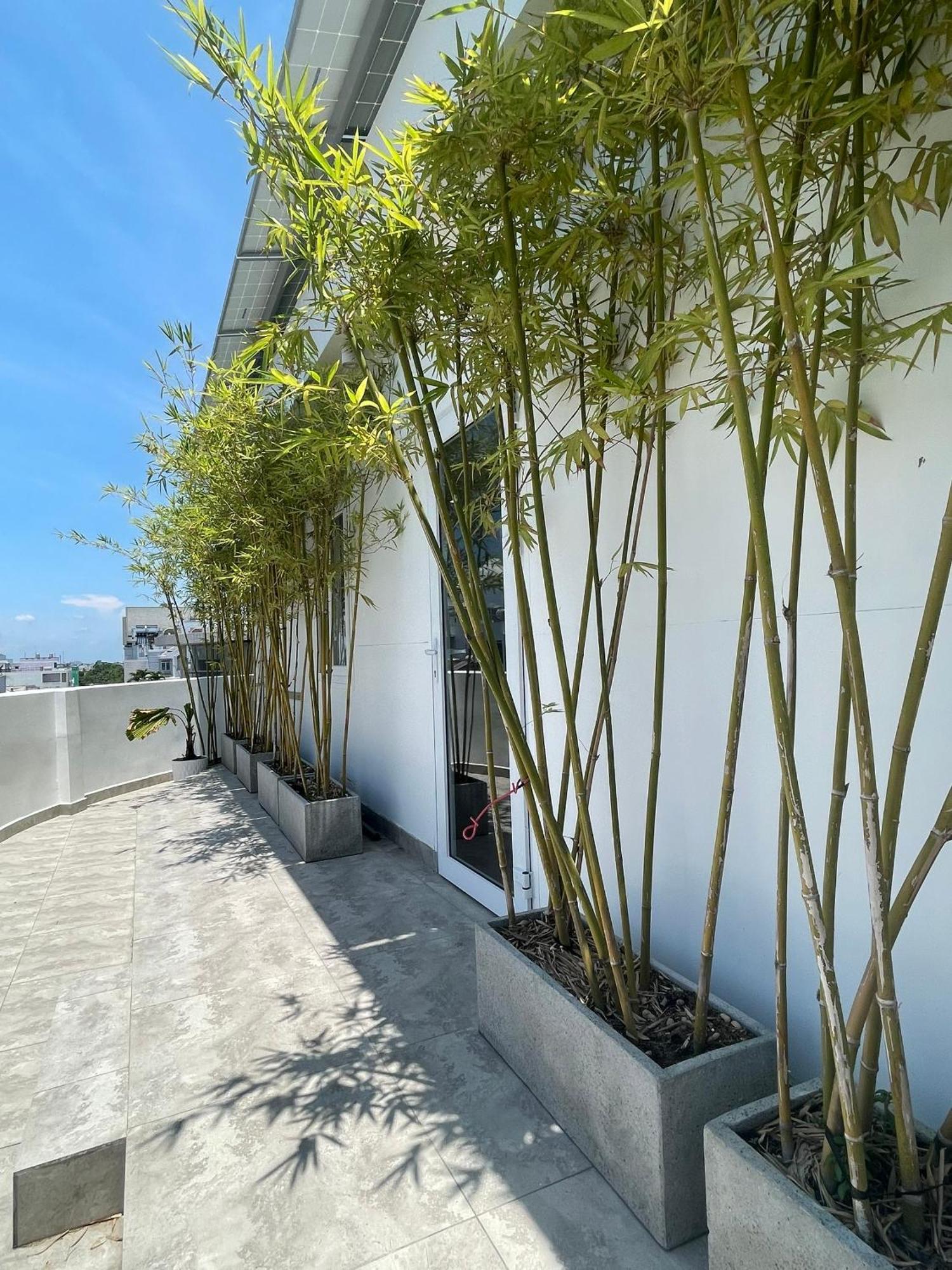 The Ck Hotel Chau Doc Dış mekan fotoğraf